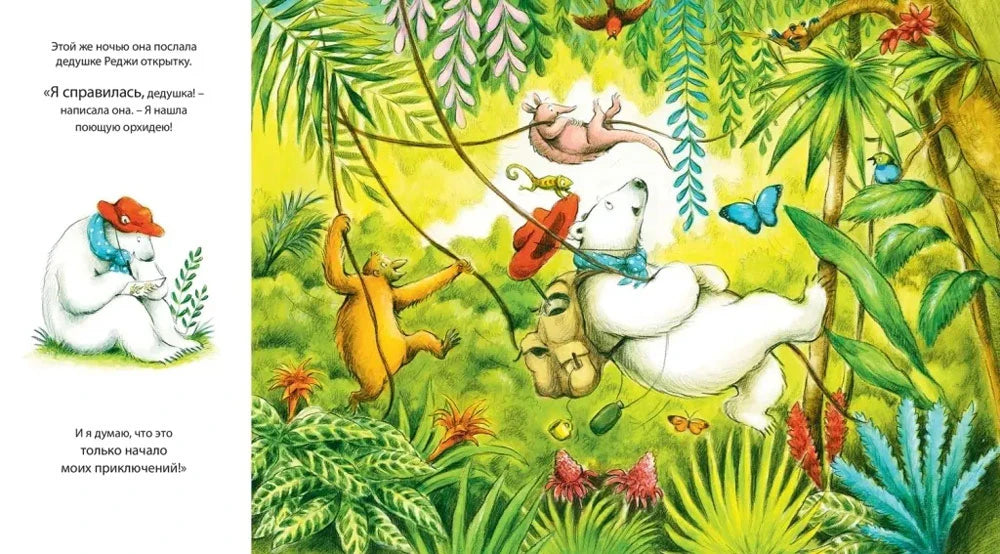 Лола пишет дедушке открытку, справа она летит на лиане среди джунглей