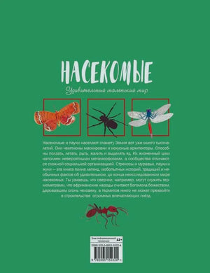 Задняя обложка с описанием книги и ISBN