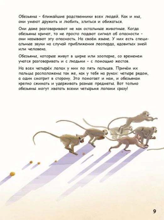 Текстовая страница об обезьянах с иллюстрацией бегущих обезьян