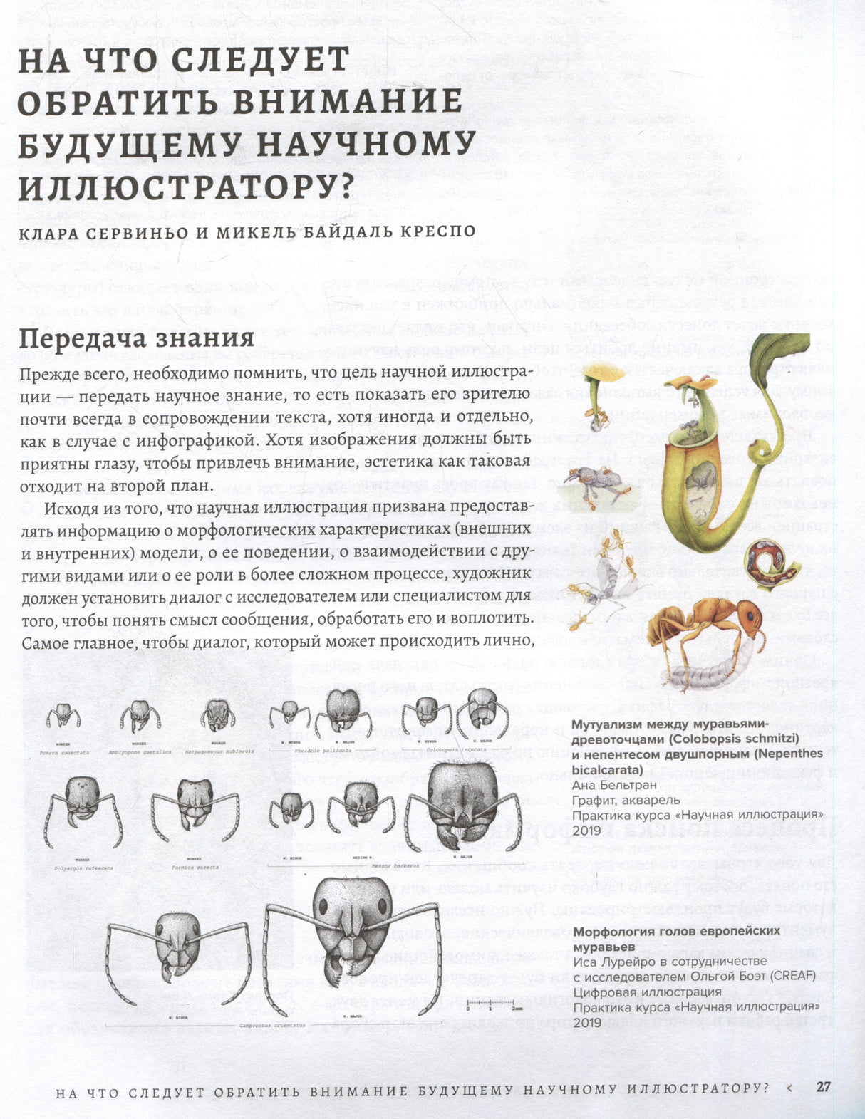 Профессия — Научный иллюстратор. Руководство по иллюстрации в биологии, археологии и палеоарте 9785041790875