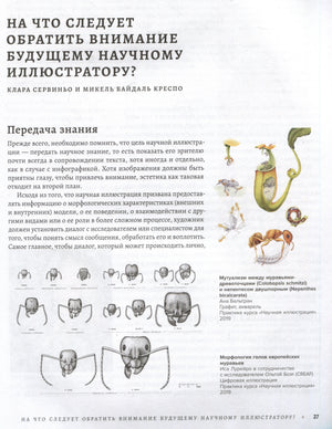Профессия — Научный иллюстратор. Руководство по иллюстрации в биологии, археологии и палеоарте 9785041790875