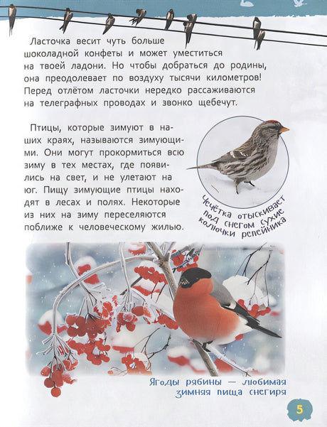 Птицы 978-5-353-09340-4 - 2