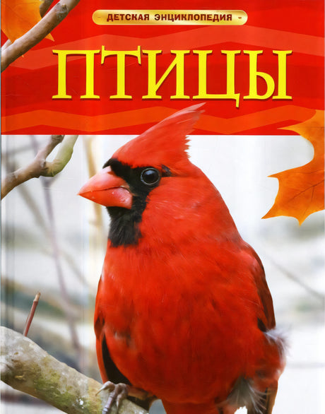 Обложка детской энциклопедии "Птицы".