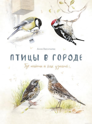Обложка книги "Птицы в городе. Где найти и как узнать"