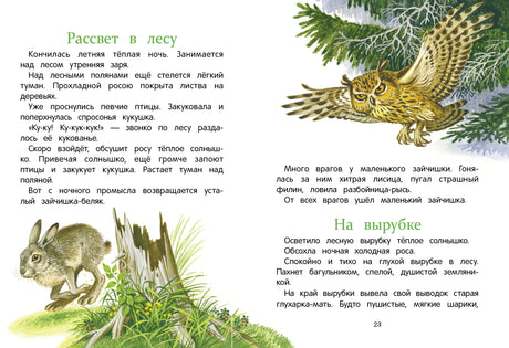 Разворот с рассказами «Рассвет в лесу» и «На вырубке», совой и зайцем.