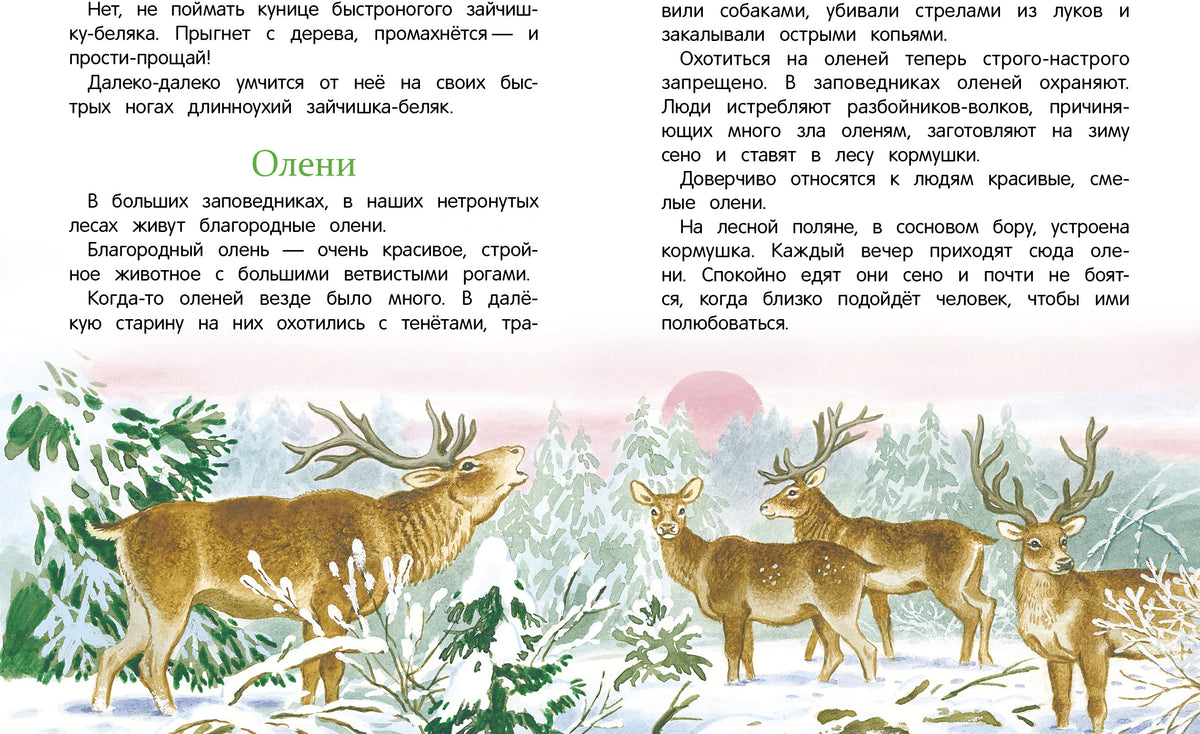 Разворот рассказа «Олени» с зимней иллюстрацией оленей.