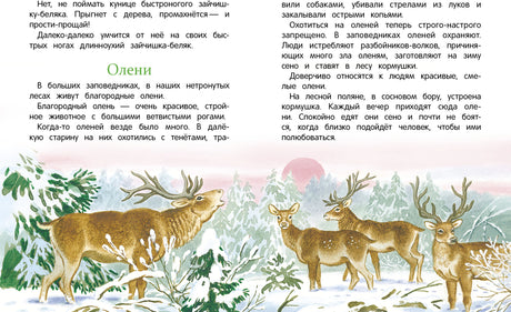 Разворот рассказа «Олени» с зимней иллюстрацией оленей.