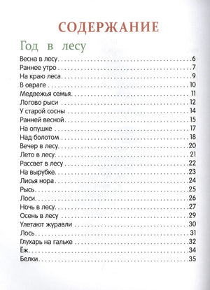 Первая страница содержания с разделом «Год в лесу».