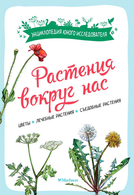 Обложка книги «Растения вокруг нас» с ботаническими рисунками мака и одуванчика.