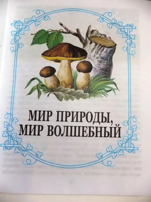 Титульная страница раздела «Мир природы, мир волшебный» с грибами.