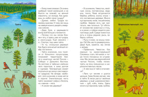 Россия. Большая энциклопедия Чевостика (переупаковка) 9785002140497
