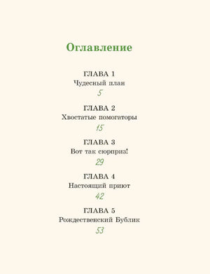 ВХ Рождественский Бублик, или Как Хвостик чудо искала (Аня Доброчасова) 9785907728790