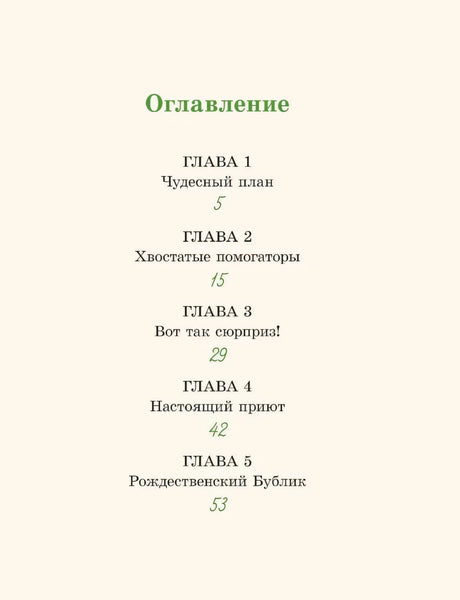 ВХ Рождественский Бублик, или Как Хвостик чудо искала (Аня Доброчасова) 9785907728790