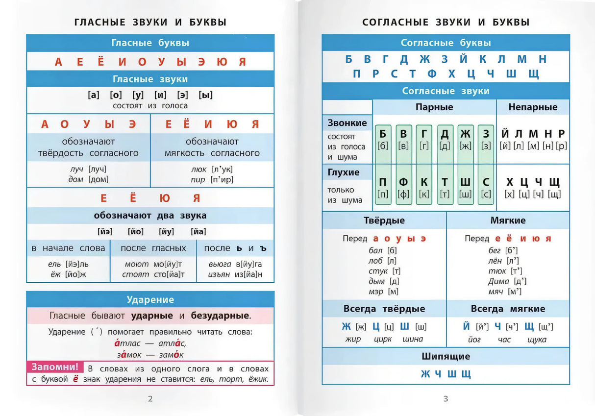 Разворот со схемами гласных и согласных звуков и букв, страницы 2–3.