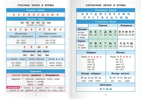 Разворот со схемами гласных и согласных звуков и букв, страницы 2–3.