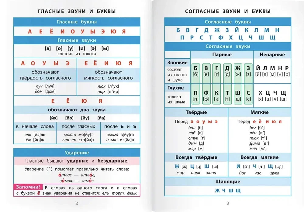 Разворот со схемами гласных и согласных звуков и букв, страницы 2–3.