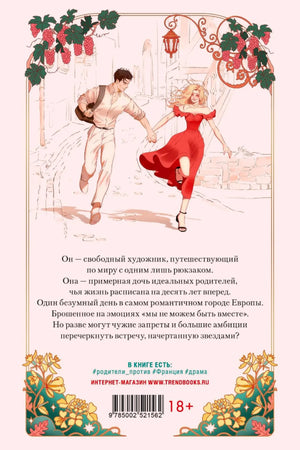 Задняя обложка с описанием, парой на улице, штрихкодом и отметкой 18+