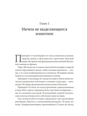 Sapiens. Краткая история человечества 9785001313724