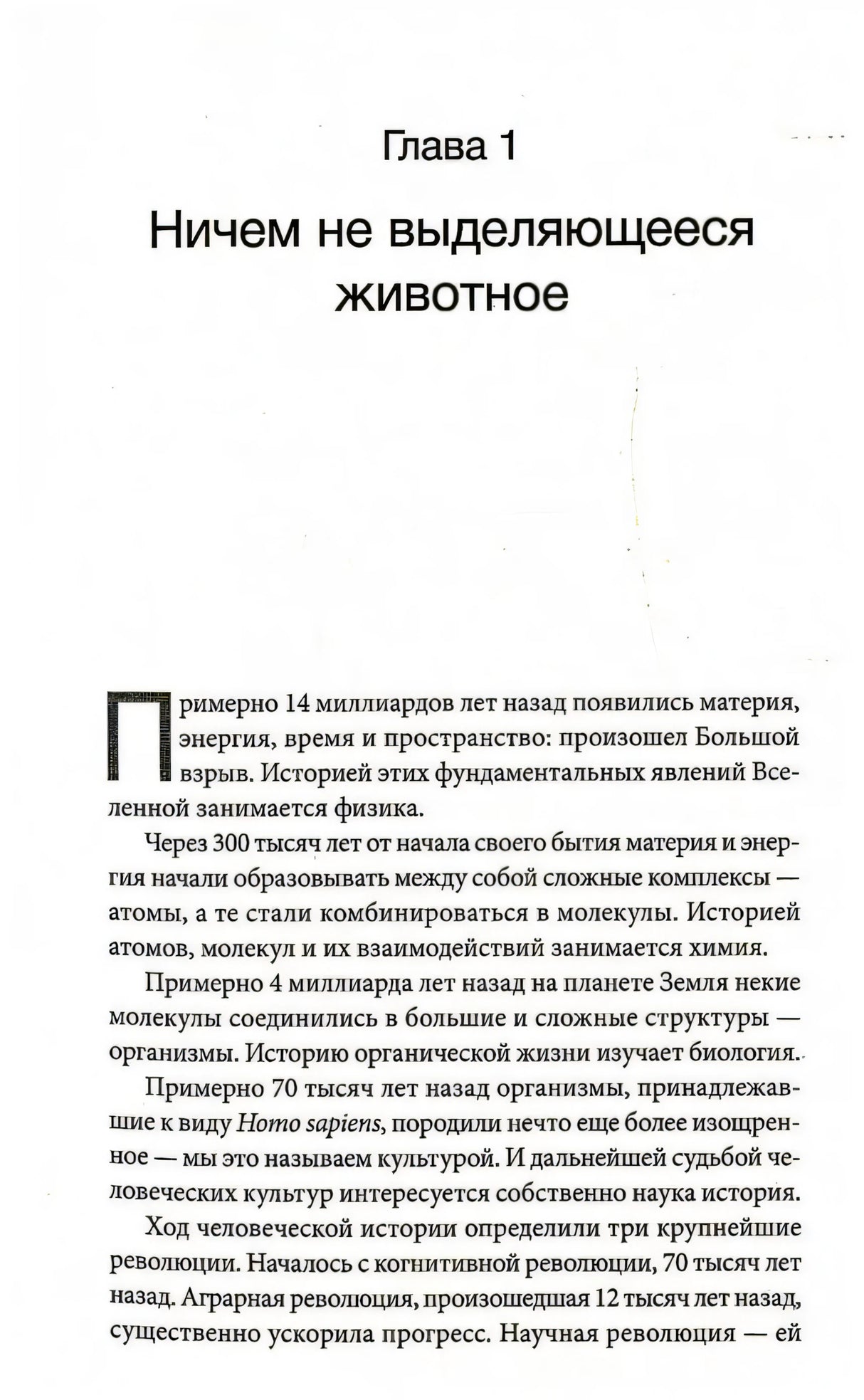 Sapiens. Краткая история человечества 9785906837622