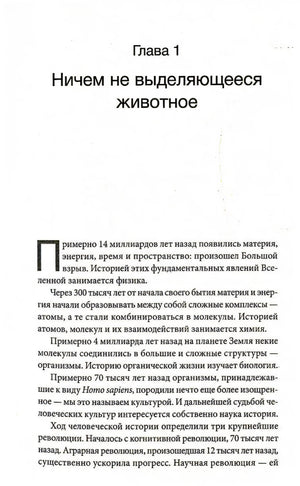 Sapiens. Краткая история человечества 9785906837622