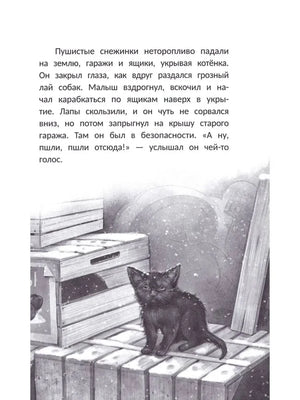 Текст рассказа и котёнок на ящиках у гаража во время снегопада.