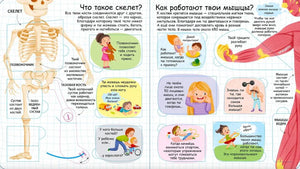 Разворот о скелете и мышцах с подписями и детскими иллюстрациями.