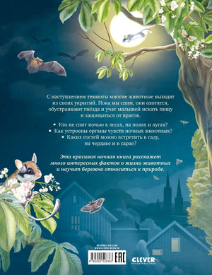 Задняя обложка книги с описанием, летучими мышами, мышью и штрихкодом