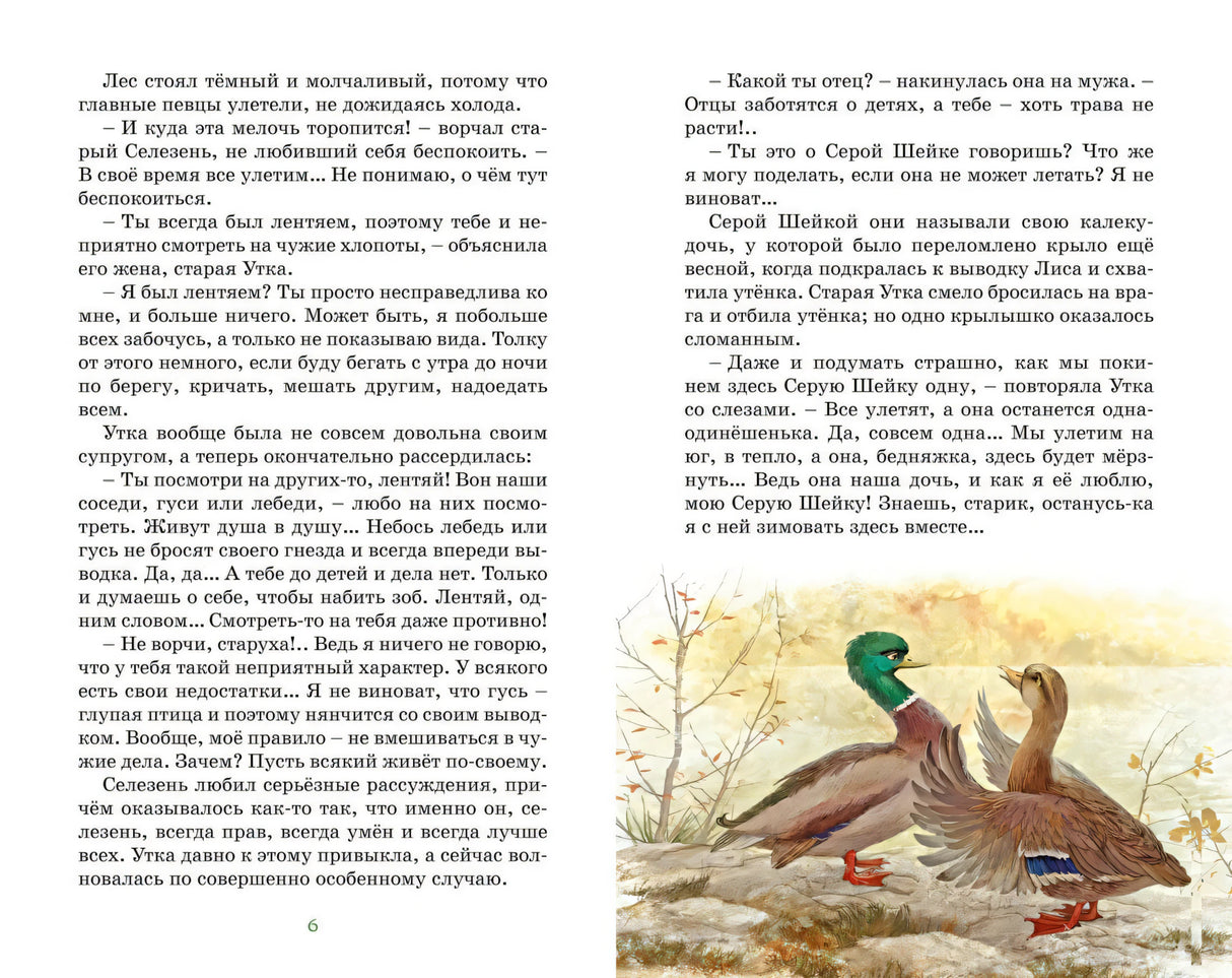 Разворот с текстом и рисунком: селезень и утка беседуют на берегу