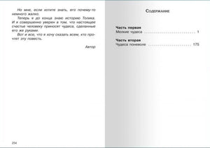 Шел по городу волшебник null - 5