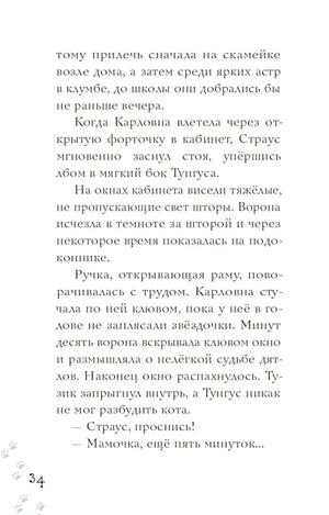 Школьный бутерброд кота Страуса null - 9