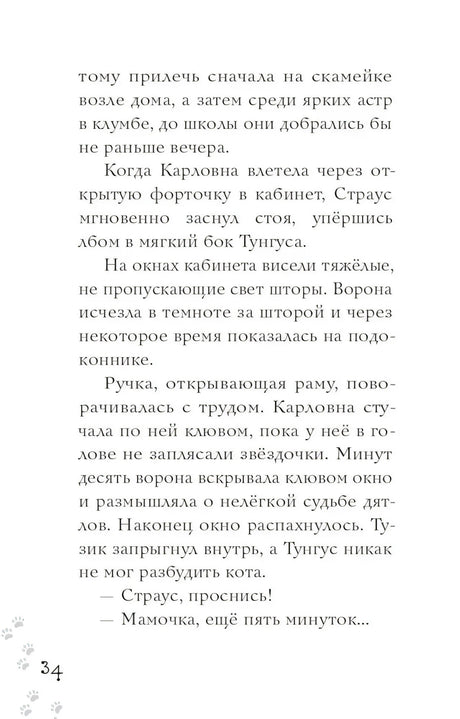 Школьный бутерброд кота Страуса null - 9