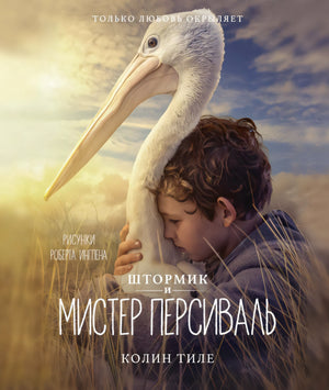 Штормик и мистер Персиваль