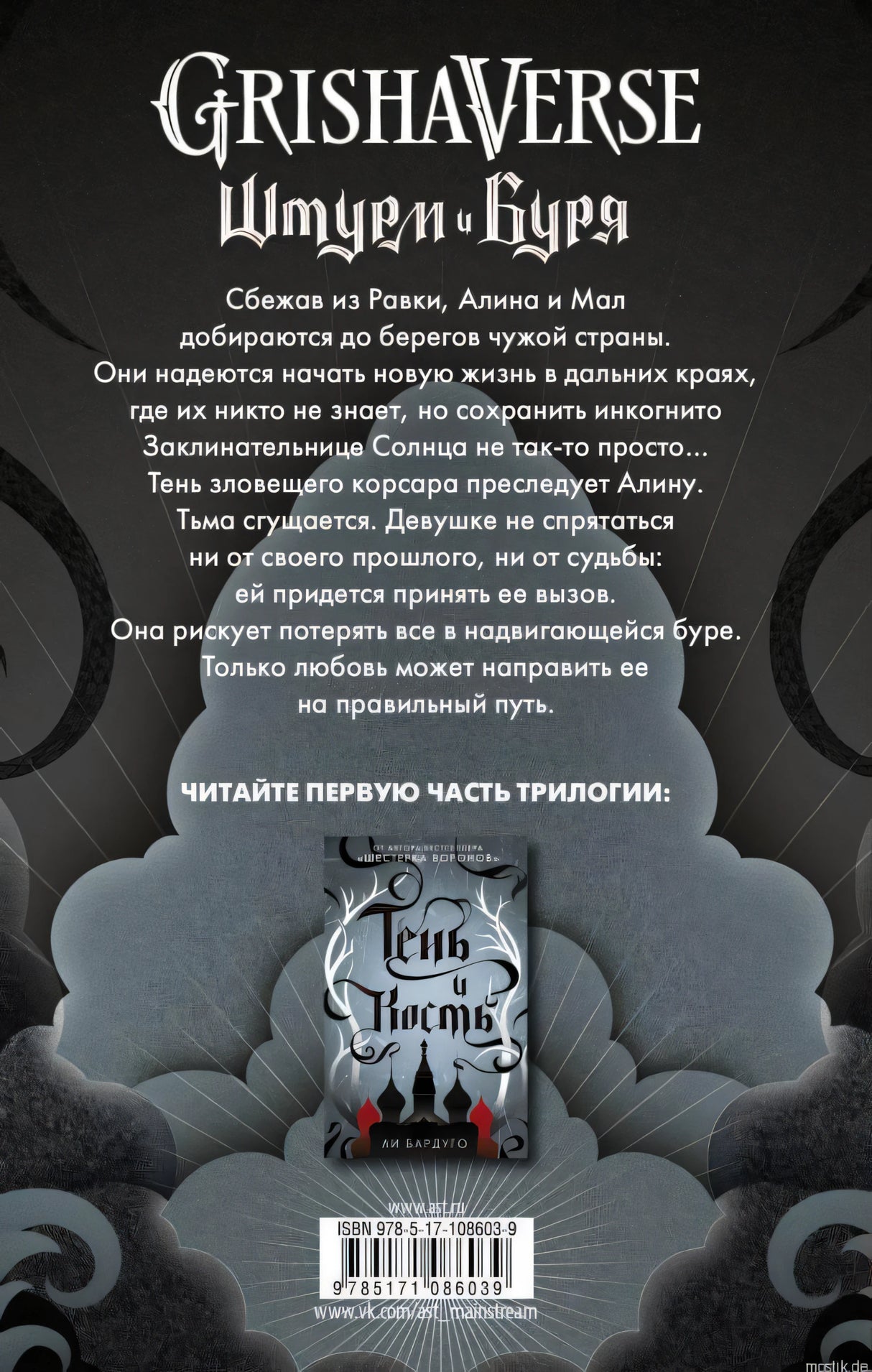 Задняя обложка книги "Штурм и буря" Ли Бардуго