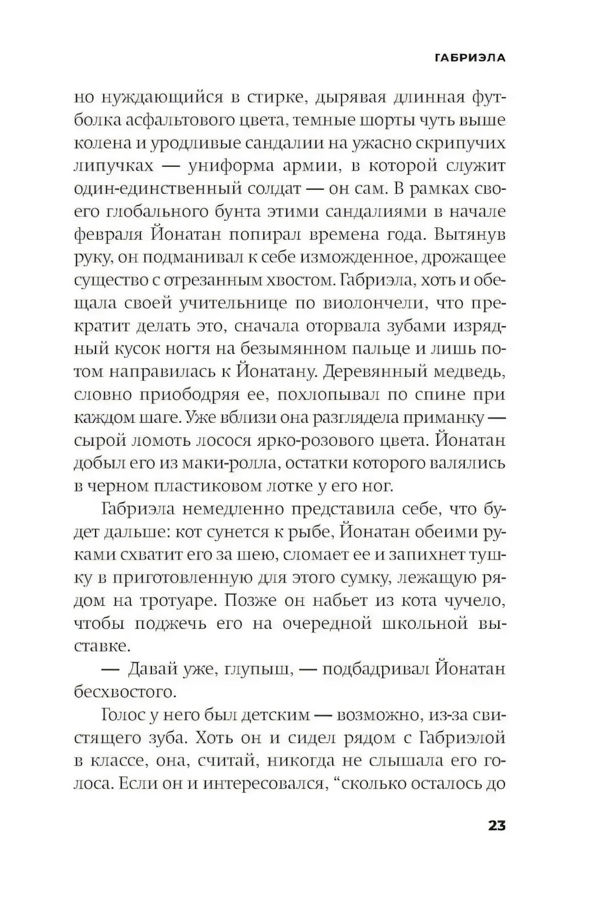 Страница 23 главы «Габриэла» с текстом романа