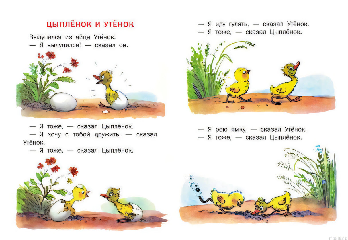 Иллюстрация к сказке "Цыпленок и Утенок" Владимира Сутеева