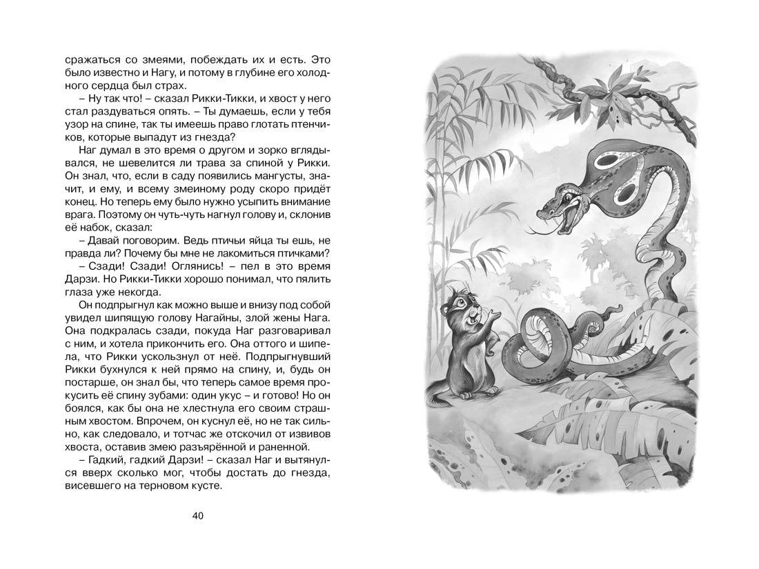 Разворот страницы 40: текст «Рикки-Тикки-Тави» и рисунок мангуста со змеёй.