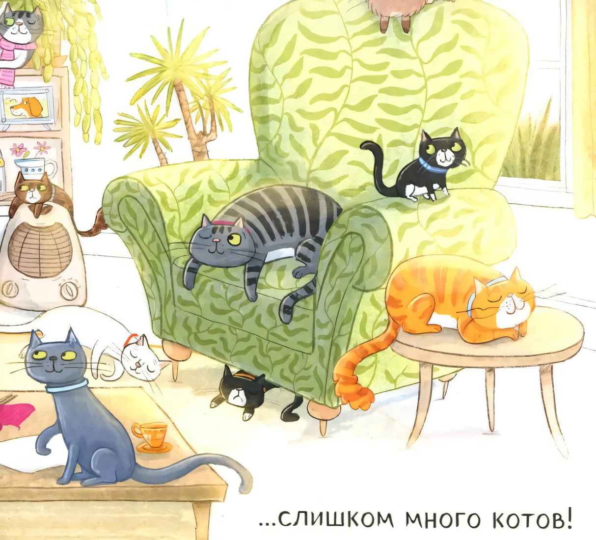 Слишком много котов null - 4