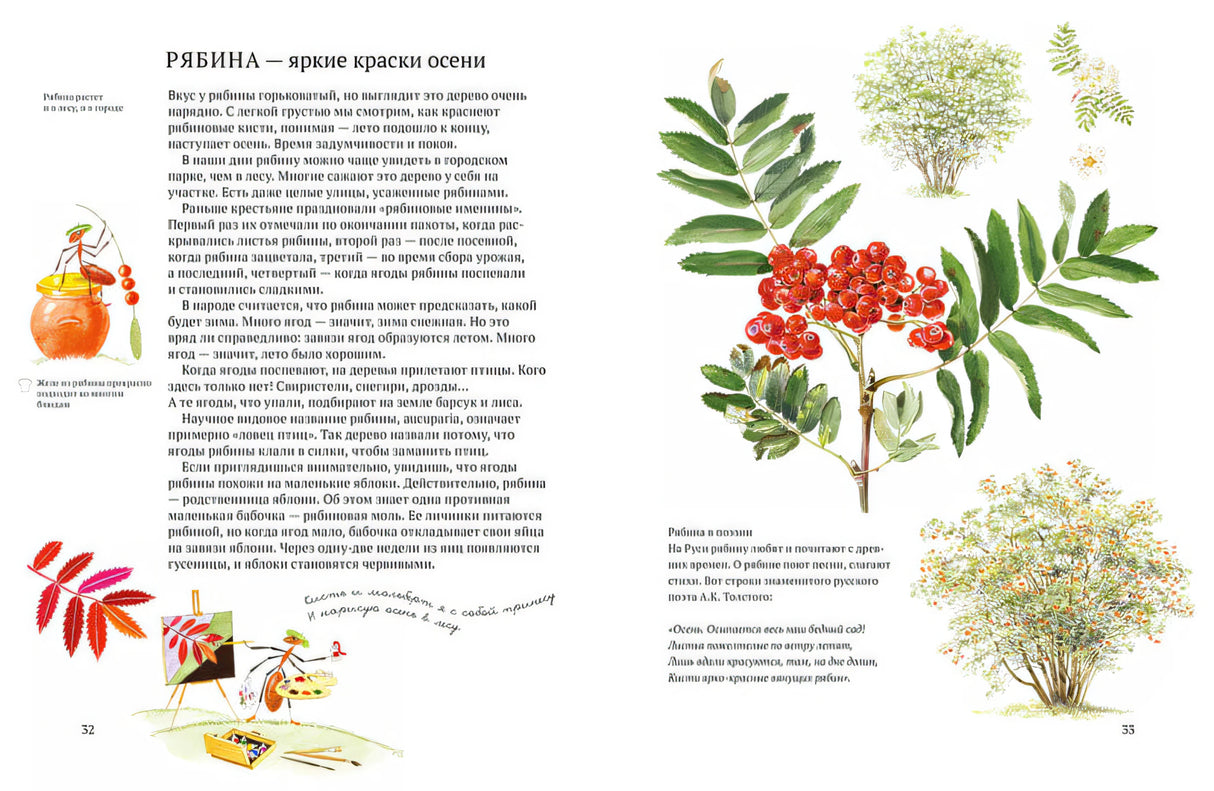 Софи в мире ягод