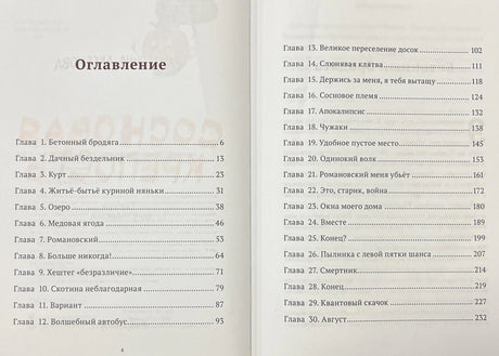 Сосновая  крепость 978-5-6050961-2-2 - 1