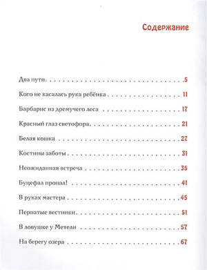 Спешили пони сквозь метель 978-5-4335-0833-0 - 4