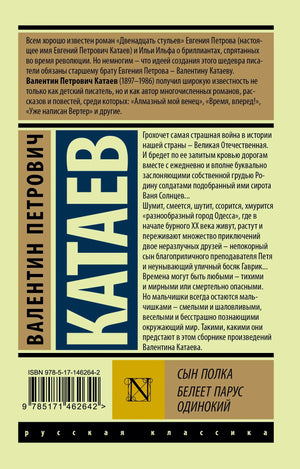 Оборотная сторона обложки с аннотацией, штрихкодом и ISBN.
