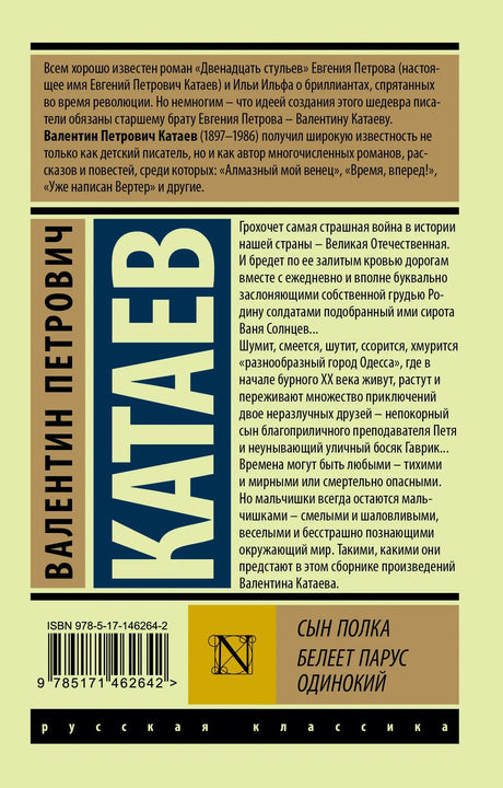 Оборотная сторона обложки с аннотацией, штрихкодом и ISBN.
