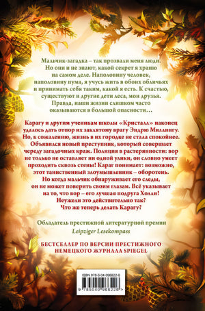Тайна Холли 978-5-04-096622-6 - 0