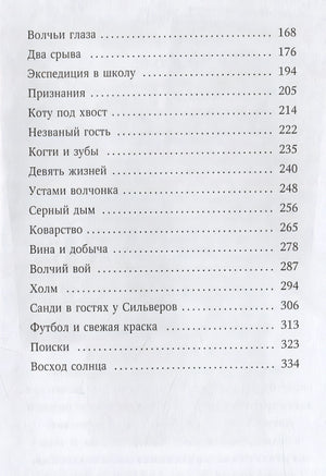 Тайна Холли 978-5-04-096622-6 - 5