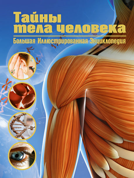 Обложка Тайны тела человека. Большая иллюстрированная энциклопедия 978-5-389-21321-0