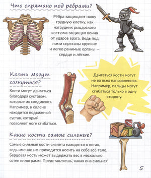 Страница о рёбрах, суставах и костях с рисунками.