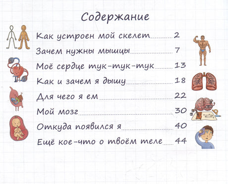 Содержание детской энциклопедии с разделами о теле человека.