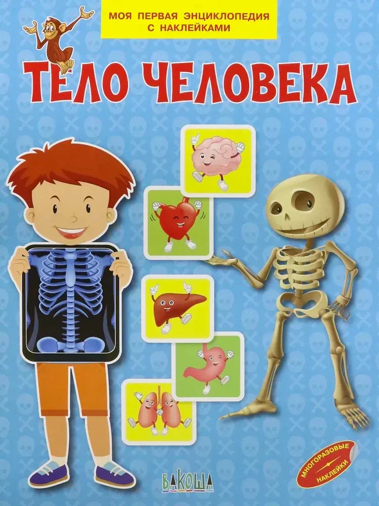 Обложка детской энциклопедии «Тело человека» с мальчиком, скелетом и органами