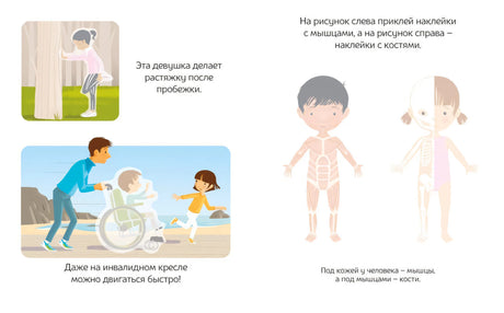 Разворот с заданиями о мышцах и костях и иллюстрациями людей