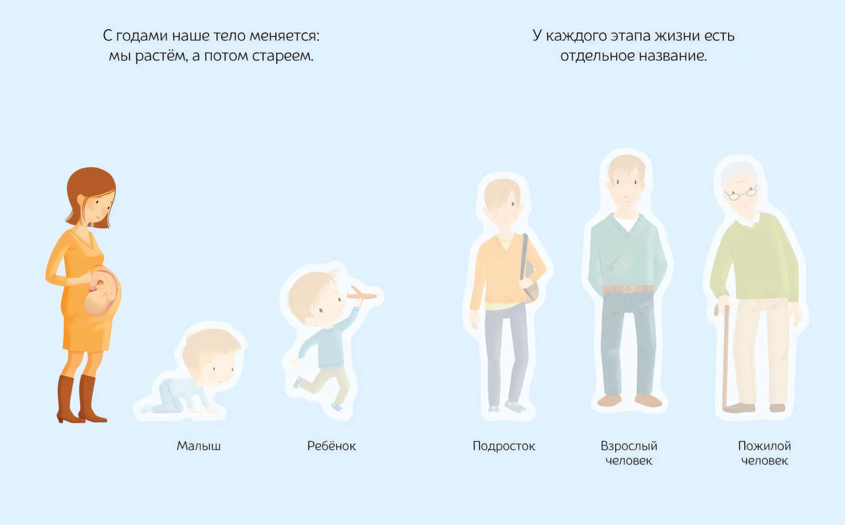 Разворот об этапах жизни человека: малыш, ребёнок, подросток, взрослый, пожилой